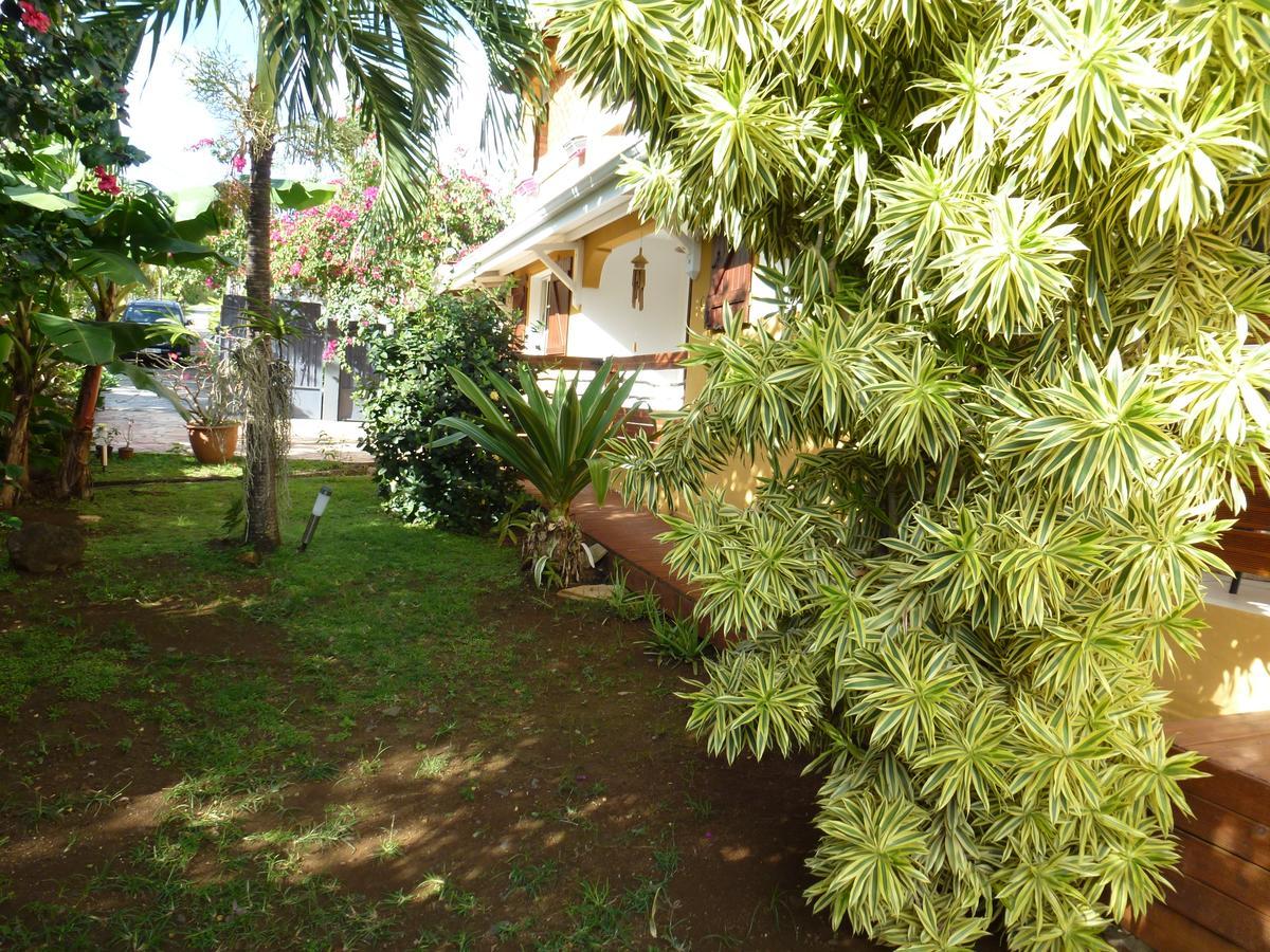 Kreyol Lodges - Suite Kayou Deshaies Esterno foto