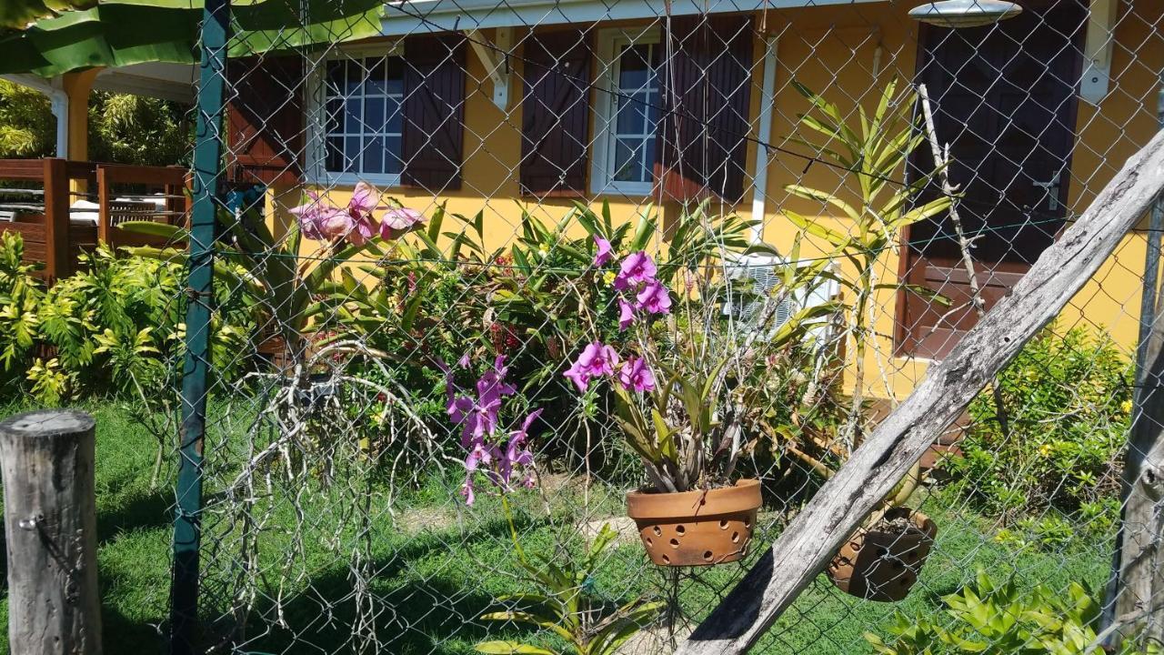Kreyol Lodges - Suite Kayou Deshaies Esterno foto